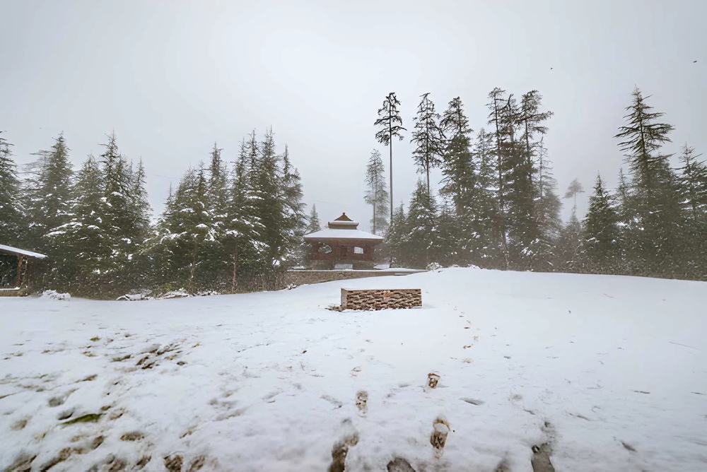 8 Days Trip to Himachal Pradesh - Himachal Pradesh tour photo