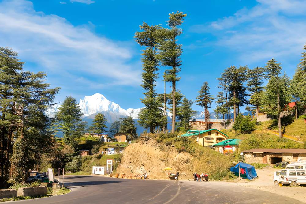 Amritsar Shimla Kullu Manali Tour Package - Himachal Pradesh tour photo