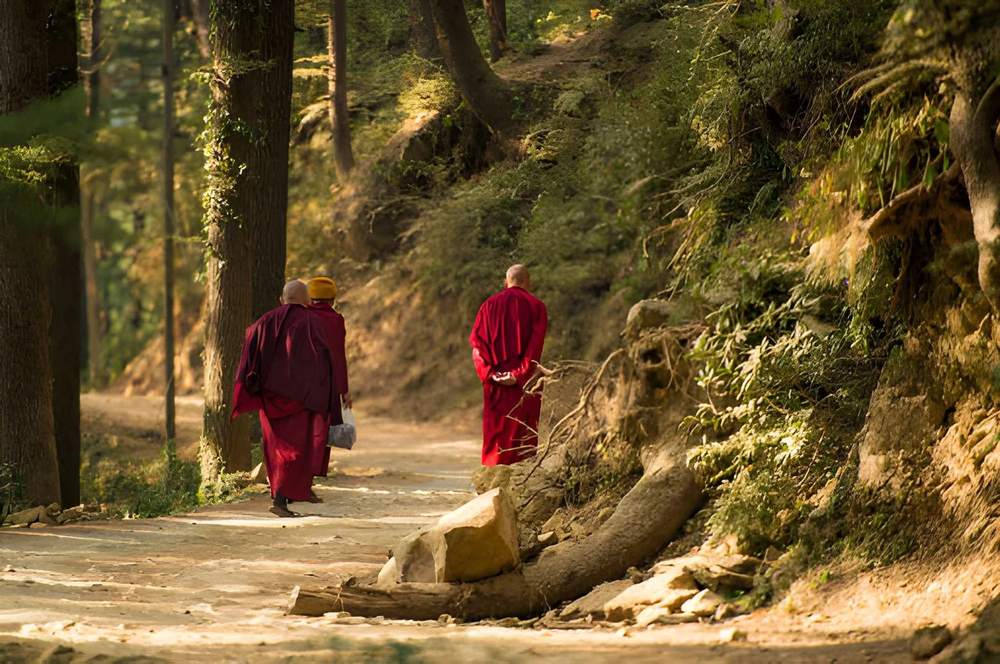 Amritsar to Himachal Pradesh Tour Package - Himachal Pradesh tour photo