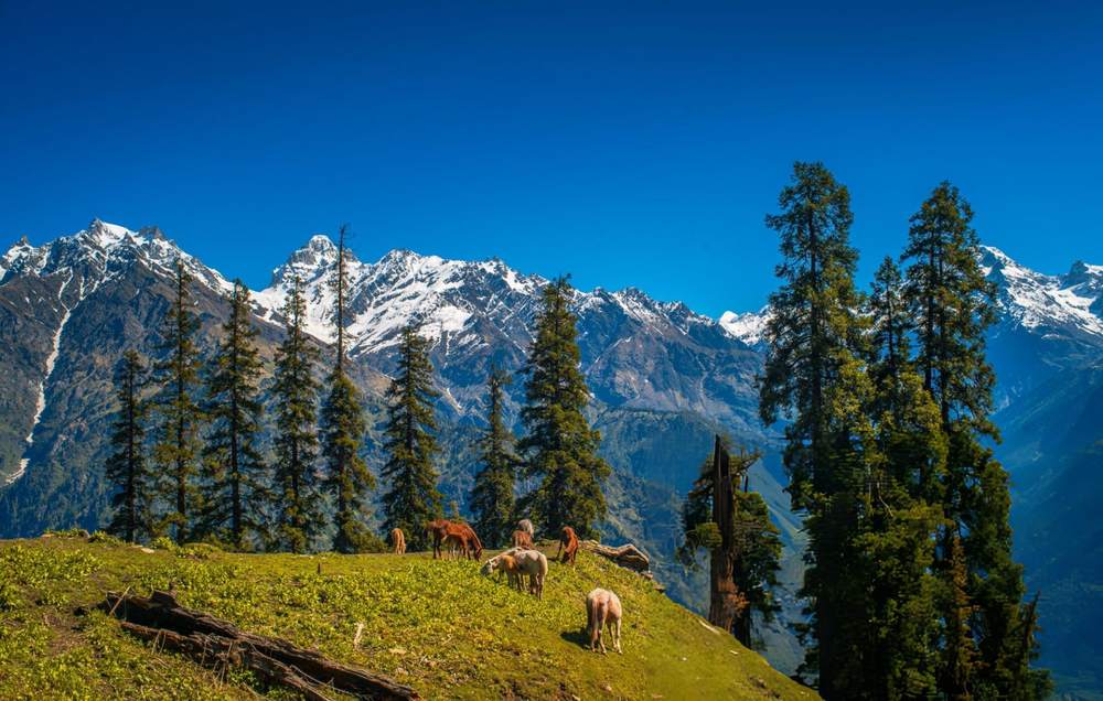 Dalhousie Tour Packages for Family - Himachal Pradesh tour photo
