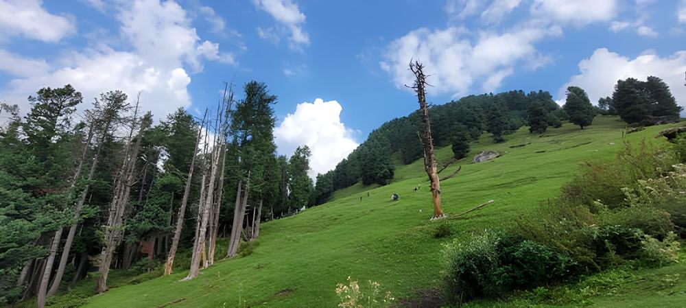 Dharamshala Dalhousie Khajjiar Tour Package from Amritsar - Himachal Pradesh tour photo