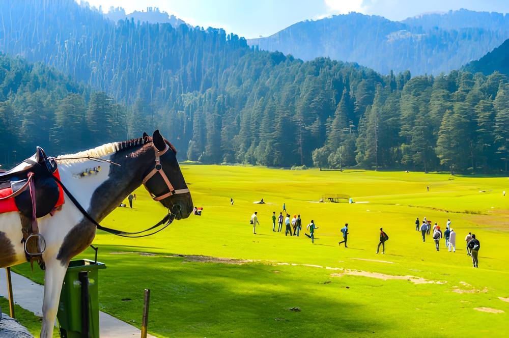 Dharamshala Dalhousie Khajjiar Tour Package from Cuttack - Himachal Pradesh tour photo