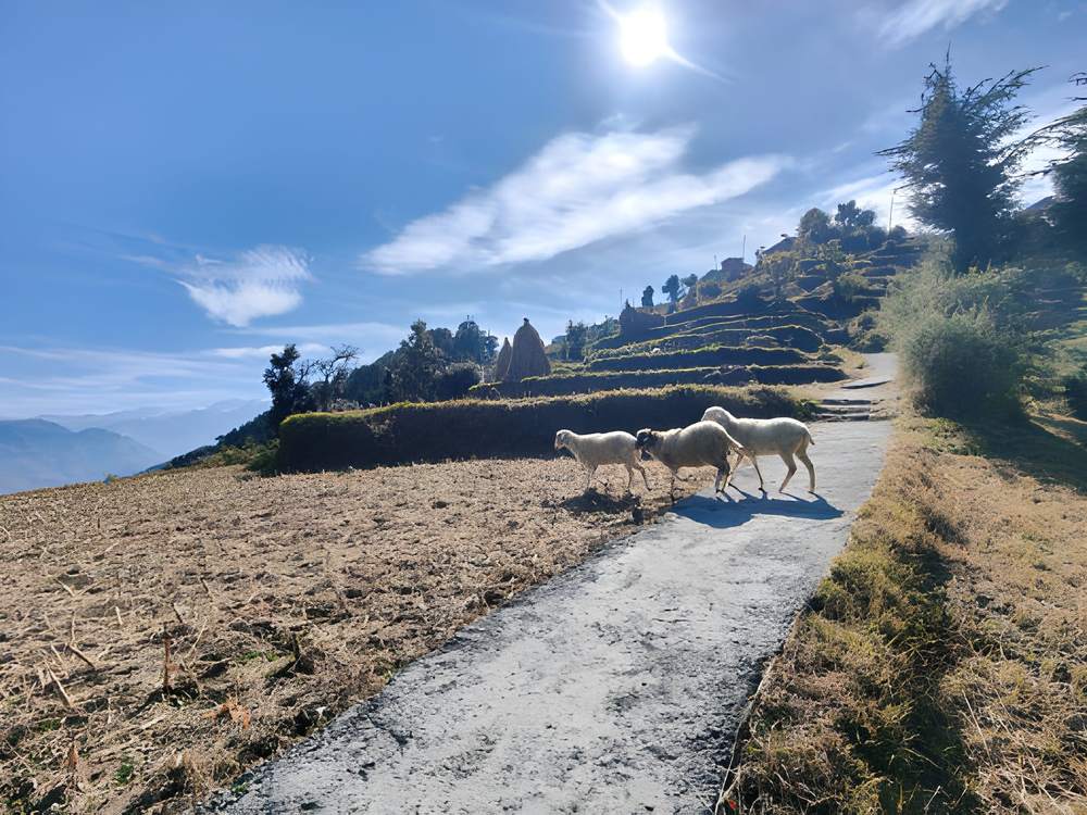 Dharamshala Dalhousie Khajjiar Tour Package from Hyderabad - Himachal Pradesh tour photo
