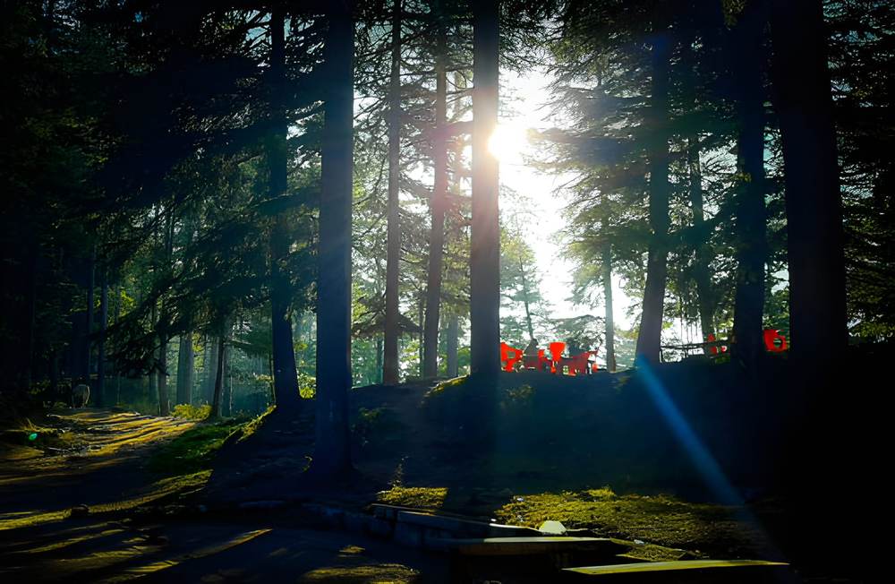 Dharamshala Dalhousie Khajjiar Tour Package from Jodhpur - Himachal Pradesh tour photo