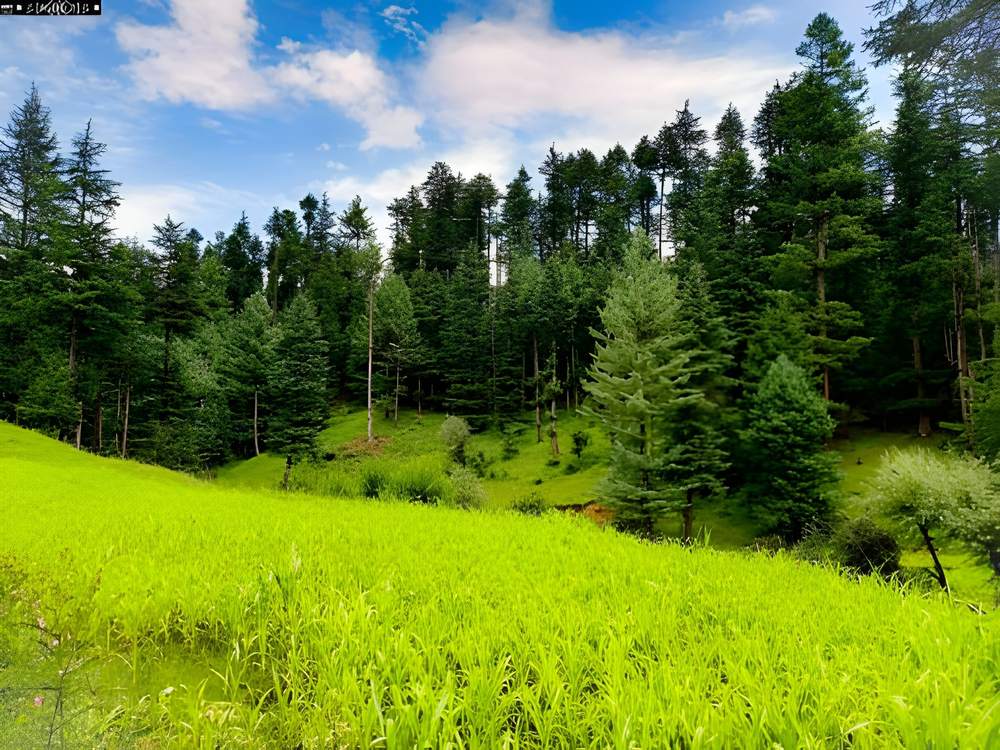 Dharamshala Dalhousie Khajjiar Tour Package from Navi Mumbai - Himachal Pradesh tour photo