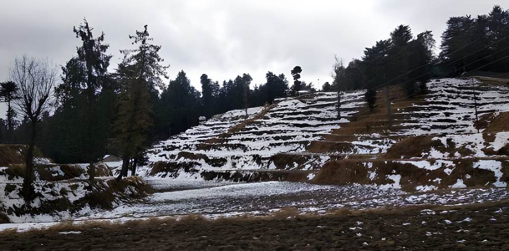 Dharamshala Dalhousie Khajjiar Tour Package from Vadodara - Himachal Pradesh tour photo