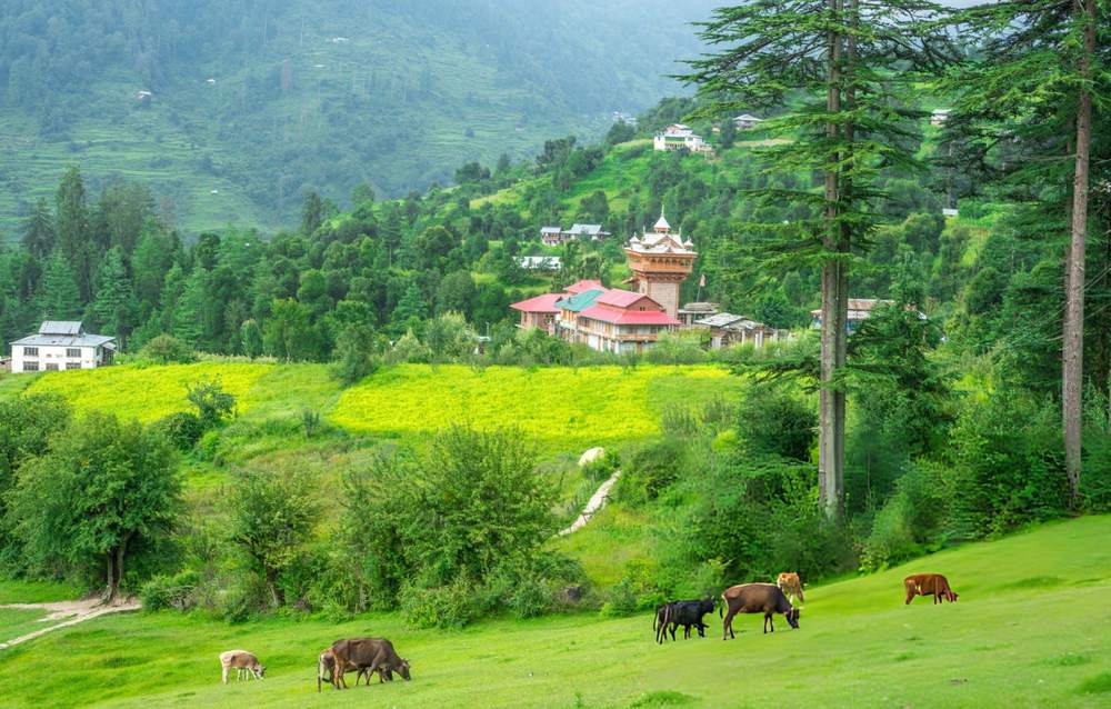 Dharamshala Dalhousie Tour Package from Chandigarh - Himachal Pradesh tour photo