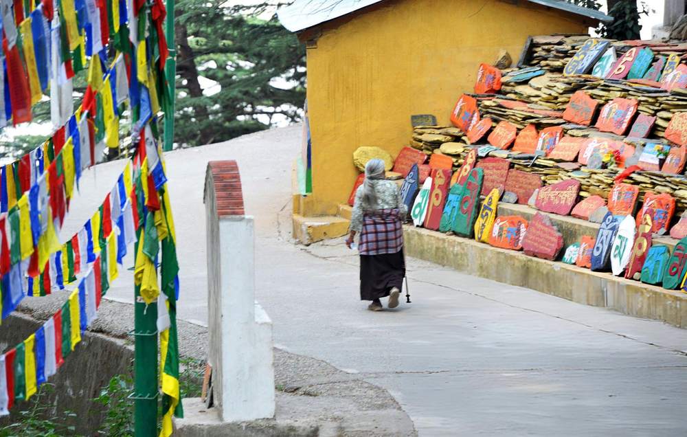 Dharamshala Dalhousie Tour Package from Dhanbad - Himachal Pradesh tour photo