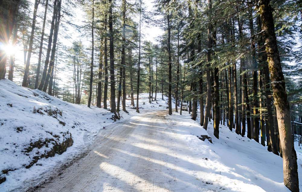 Dharamshala Dalhousie Tour Package from Jamshedpur - Himachal Pradesh tour photo