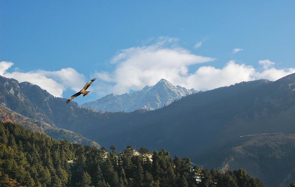 Dharamshala Dalhousie Tour Package from Navi Mumbai - Himachal Pradesh tour photo