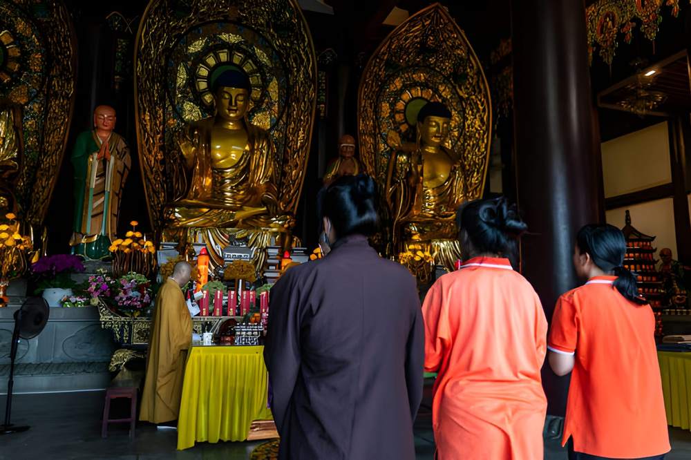 Dharamshala Tour Package from Delhi - Himachal Pradesh tour photo