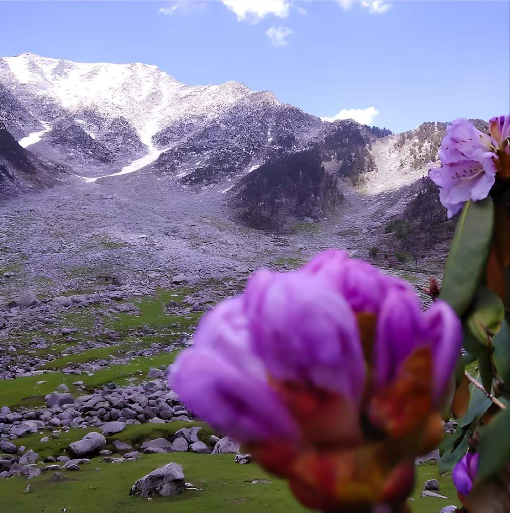Dharamshala Tour Packages for Couple - Himachal Pradesh tour photo