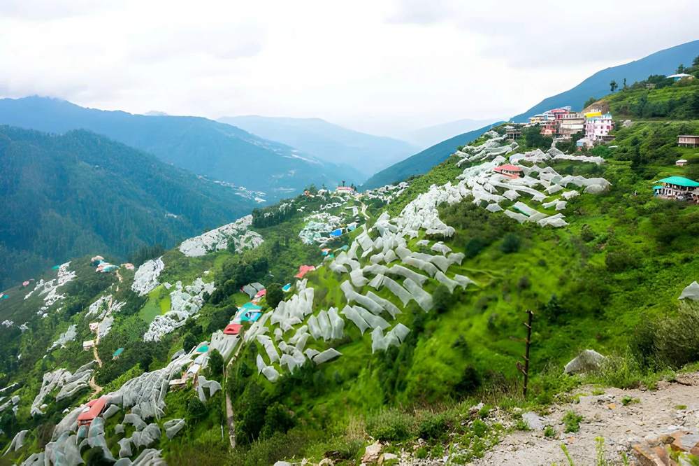 Himachal Dharamshala Tour Package - Himachal Pradesh tour photo