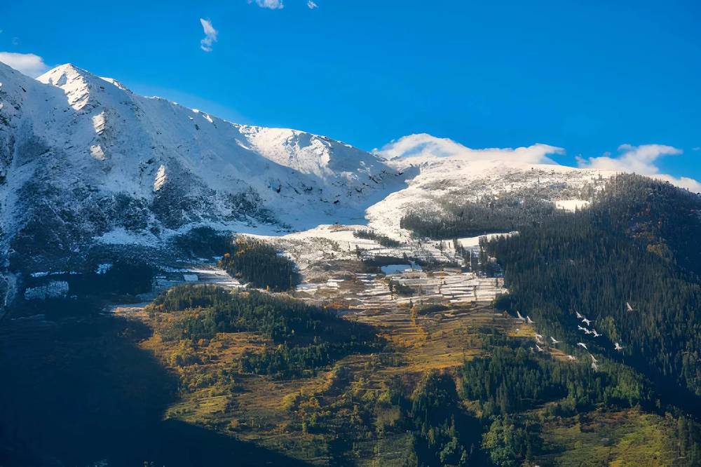 Himachal Honeymoon Tour Packages - Himachal Pradesh tour photo