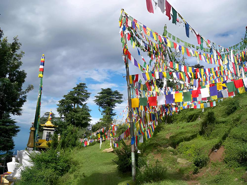 Himachal Tour Package Ex Chandigarh - Himachal Pradesh tour photo