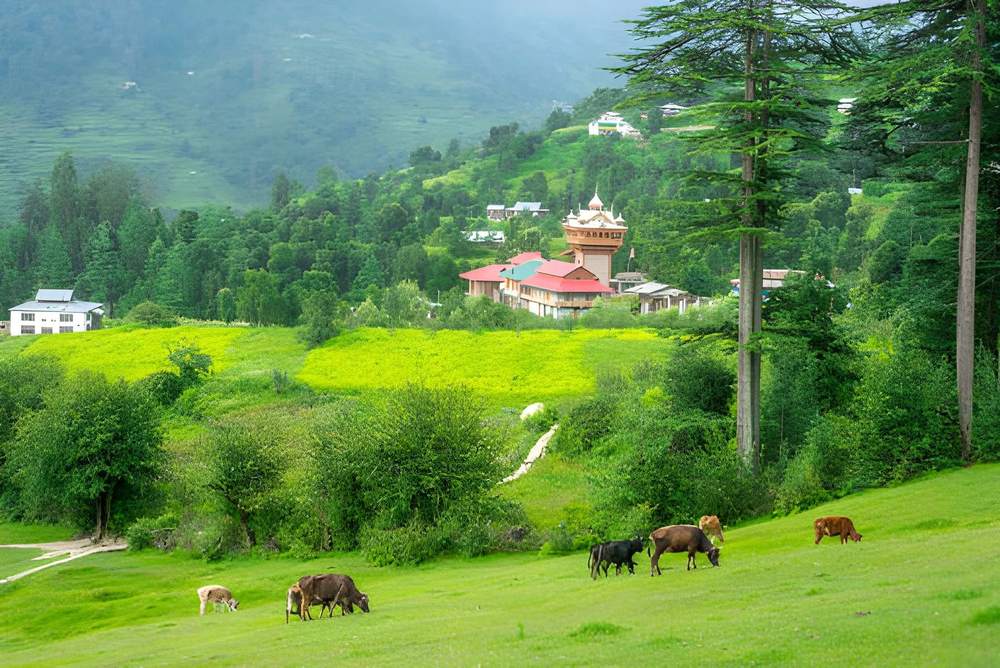 Himachal Tour Package from Jaipur - Himachal Pradesh tour photo