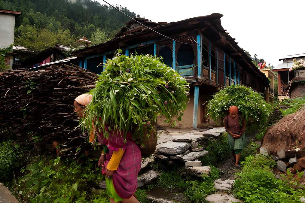 Himachal Pradesh mountains - Manali Tours Package