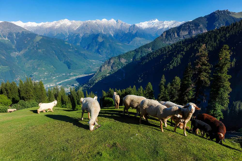 Himachal Volvo Bus Tour Package - Himachal Pradesh tour photo