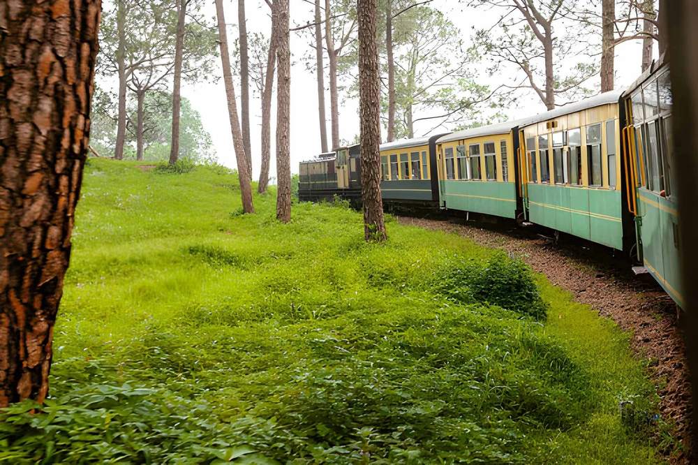 Jibhi Himachal Tour Package - Himachal Pradesh tour photo