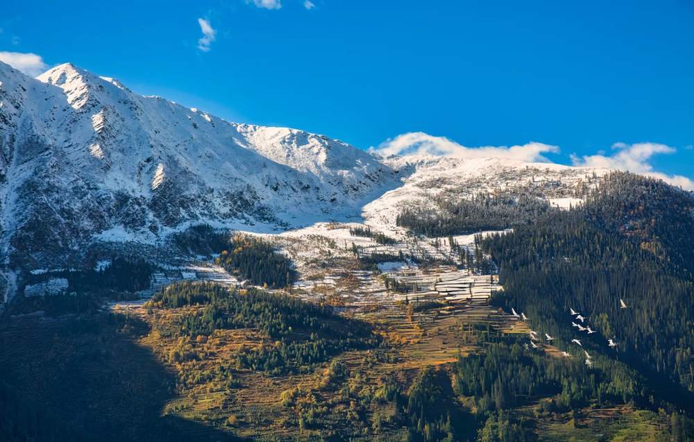 Kinnaur Kalpa Tour Package from Hyderabad - Himachal Pradesh tour photo