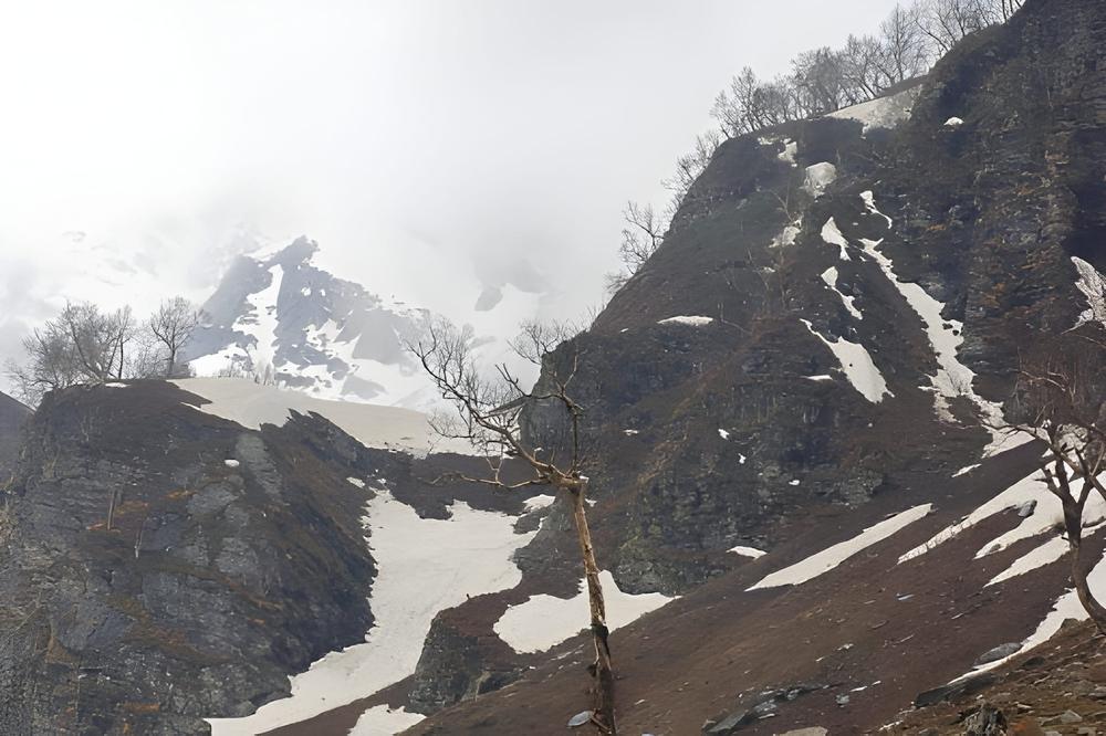 Kullu Manali Tour Package by Flight - Himachal Pradesh tour photo
