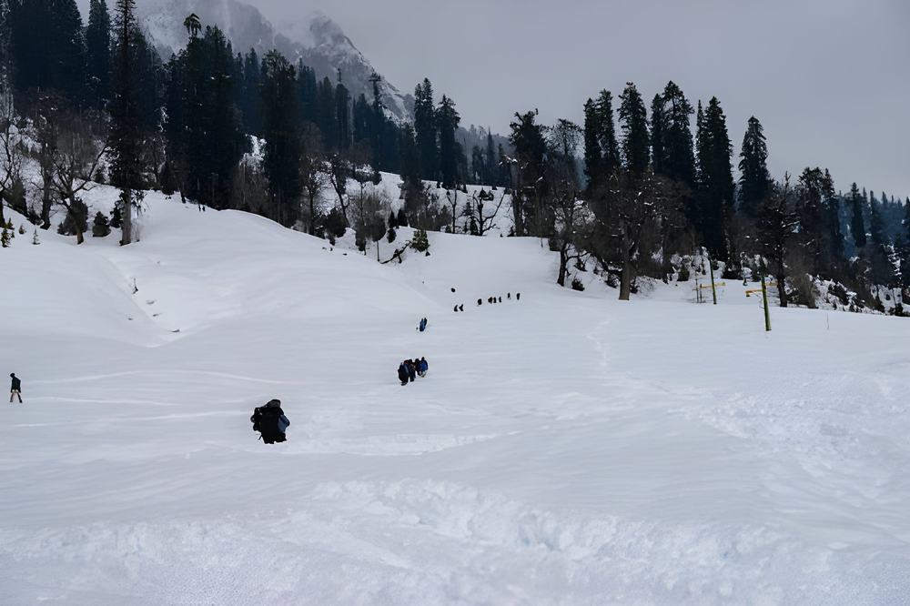 Manali Tour Package from Rajkot - Himachal Pradesh tour photo