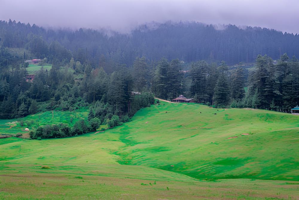 Manali Tour Package from Ranchi - Himachal Pradesh tour photo