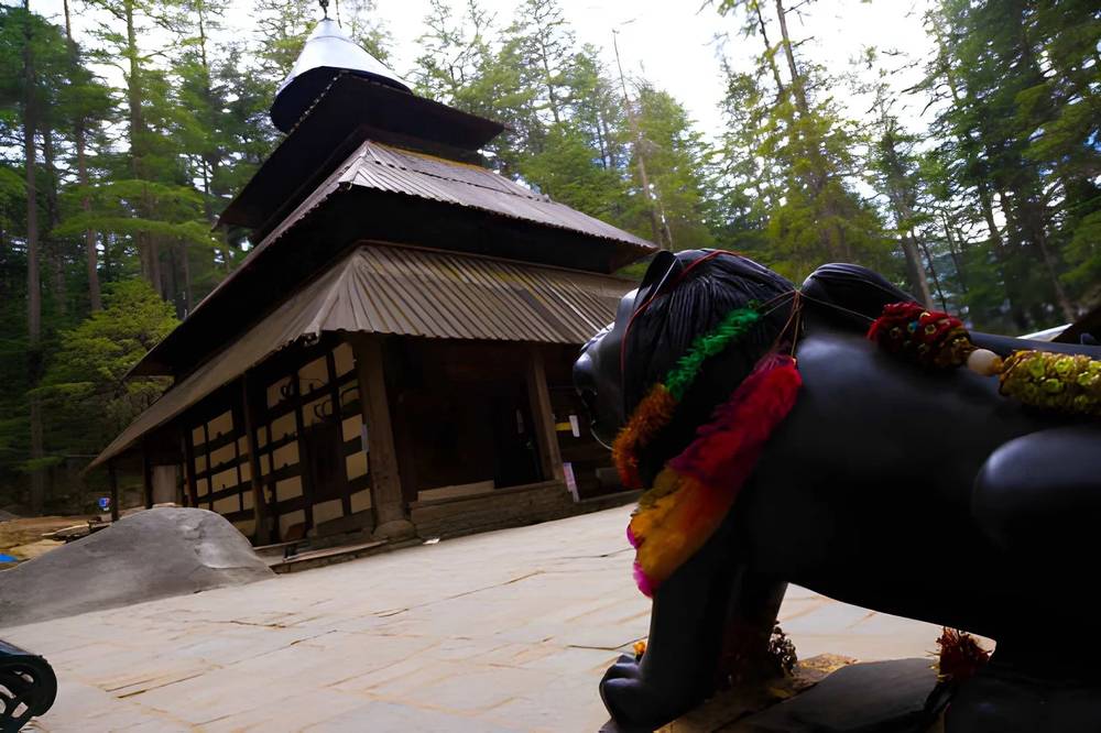 Pathankot to Himachal Tour Package - Himachal Pradesh tour photo