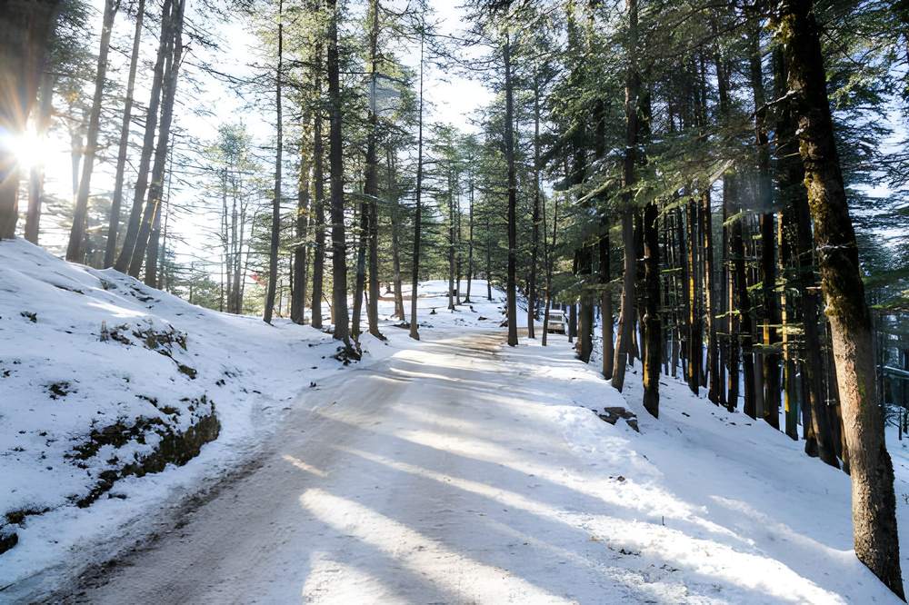 Shimla Kullu Manali Adventure Tour Packages - Himachal Pradesh tour photo