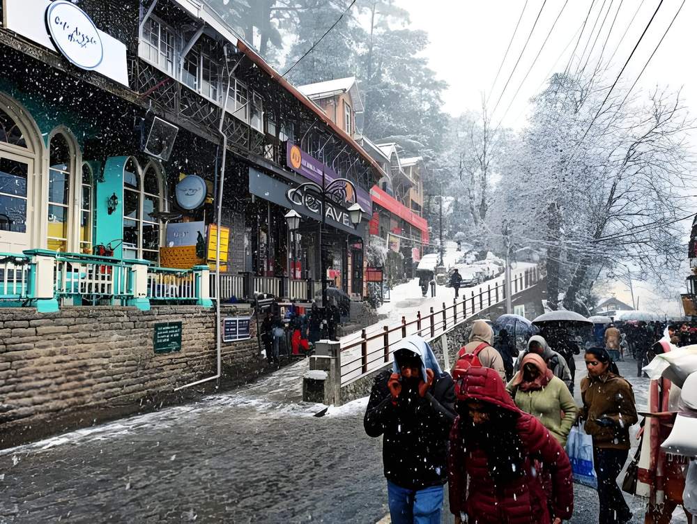 Shimla Manali Tour Package 5 Nights 6 Days - Himachal Pradesh tour photo