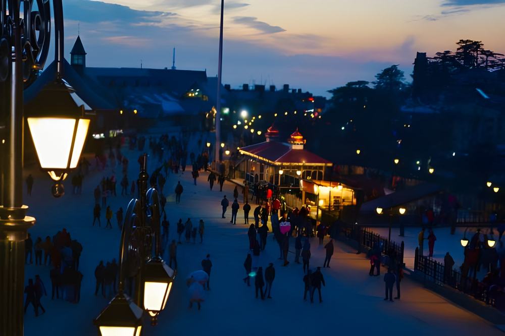 Shimla Manali Tour Package 7 Nights 8 Days - Himachal Pradesh tour photo